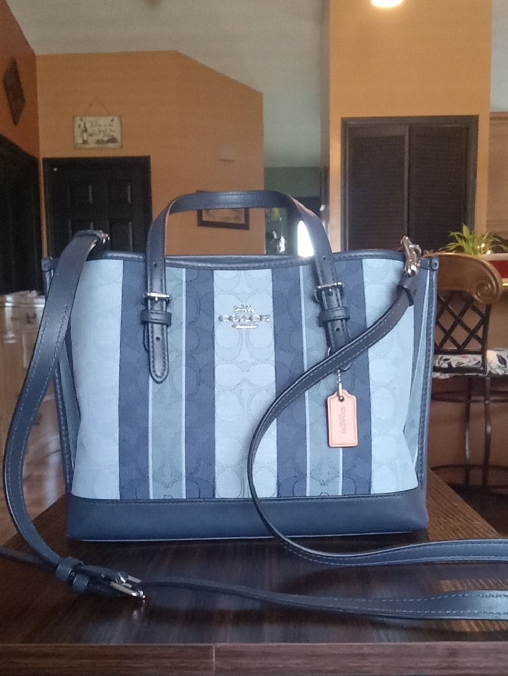 Molly 25 Tote In blue with silver hardware